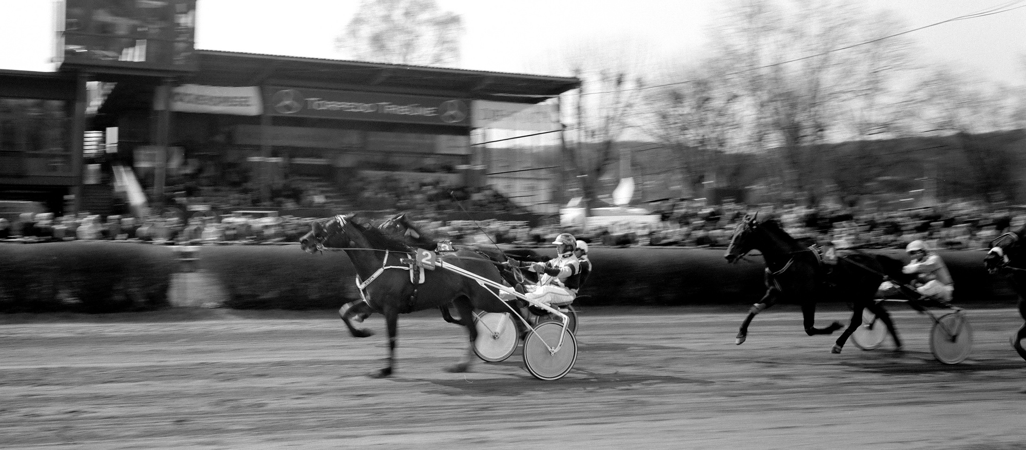 2018 04 02 Holga Pan 6x12 09a (08) vkl